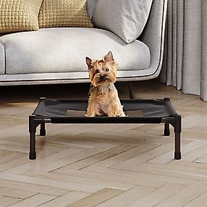 Pet Adobe Portable Indoor & Outdoor Elevated Dog & Cat Bed, Black, Small
