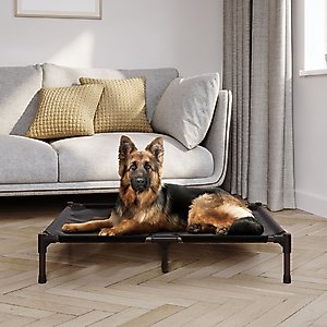 Pet Adobe Portable Indoor & Outdoor Elevated Dog & Cat Bed, Black, Large