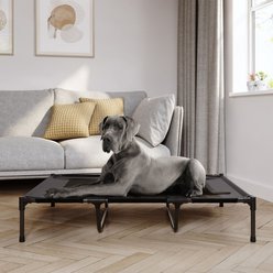 Pet Adobe Portable Indoor & Outdoor Elevated Dog & Cat Bed, Black, X-Large