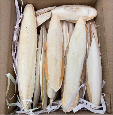 Show full view: A&E Cage Company Cuttlebone 4-6-in Bird Treats, 5-lb box slide 2 of 2