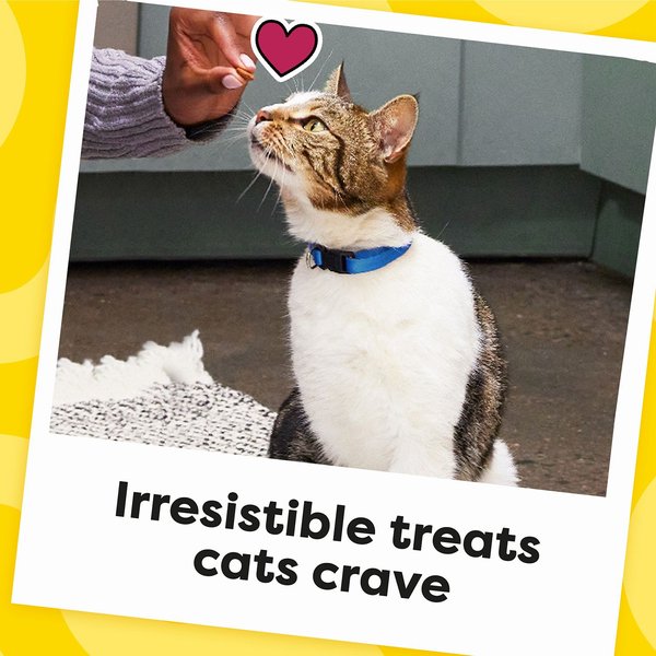 Show full view: Temptations Feline Favorites Classic Variety Pack Soft & Crunchy Cat Treats, 3-oz bag, case of 4 slide 7 of 9