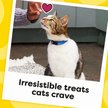 Show in main carousel: Temptations Feline Favorites Classic Variety Pack Soft & Crunchy Cat Treats, 3-oz bag, case of 4 slide 7 of 9