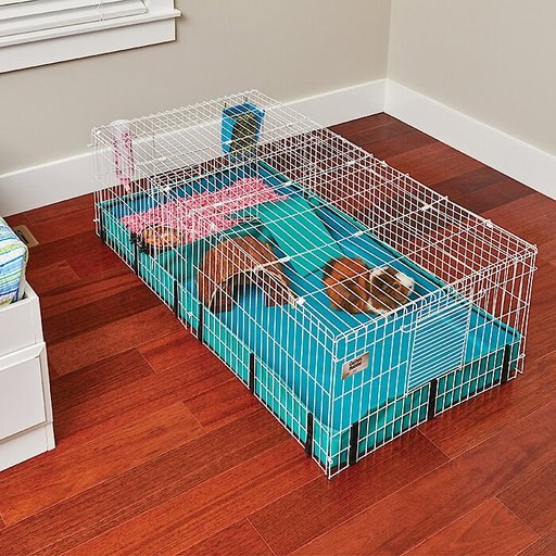 MidWest Guinea Habitat Guinea Pig Home, Plus