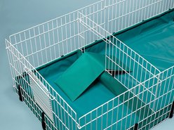 MidWest Guinea Habitat Divider Panel slide 2 of 2