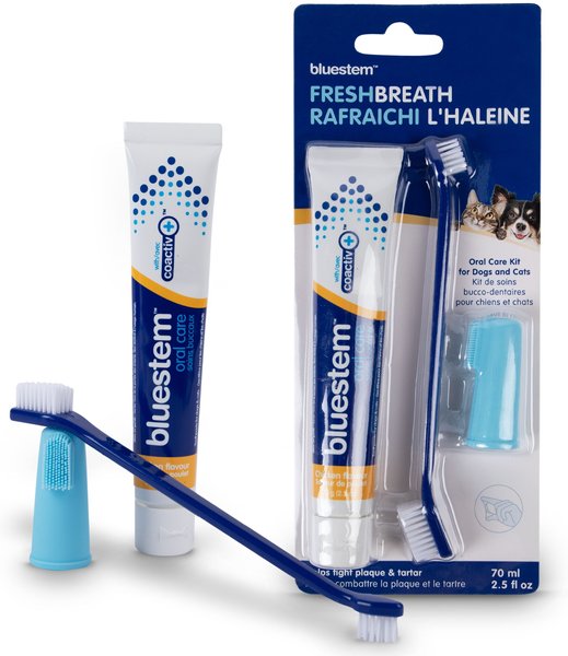 Out of Stock BLUESTEM Chicken Flavor Dog & Cat Toothbrush Dental Kit