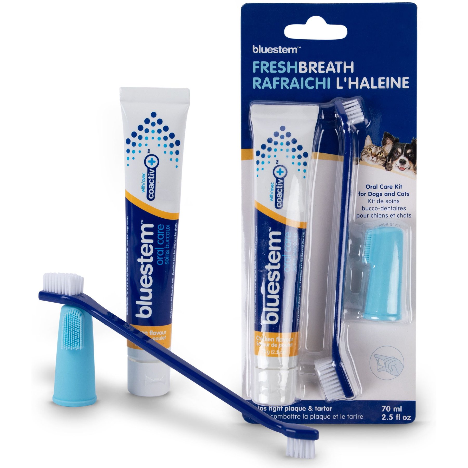 BLUESTEM Chicken Flavor Dog & Cat Toothbrush Dental Kit - Chewy.com