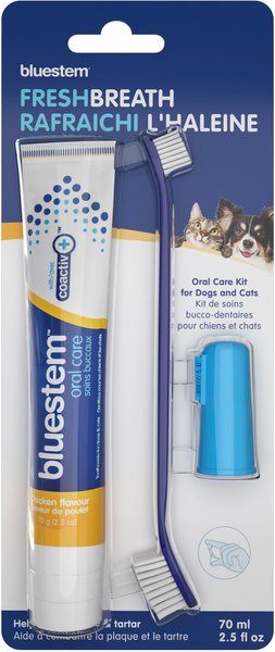 BLUESTEM Chicken Flavor Dog & Cat Toothbrush Dental Kit - Chewy.com