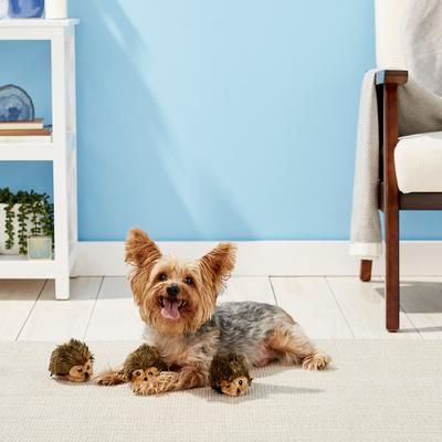 Show full view: ZippyPaws Burrow Squeaky Hide & Seek Plush Dog Toy, Hedgehog Den, Refills slide 2 of 6