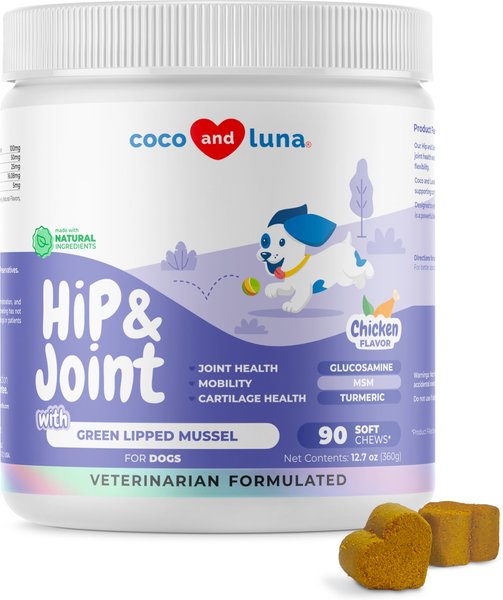 Dogs Love Us Dogs Love Hummus Tumeric & Peppermint Chew Dog Bones, 12-pack