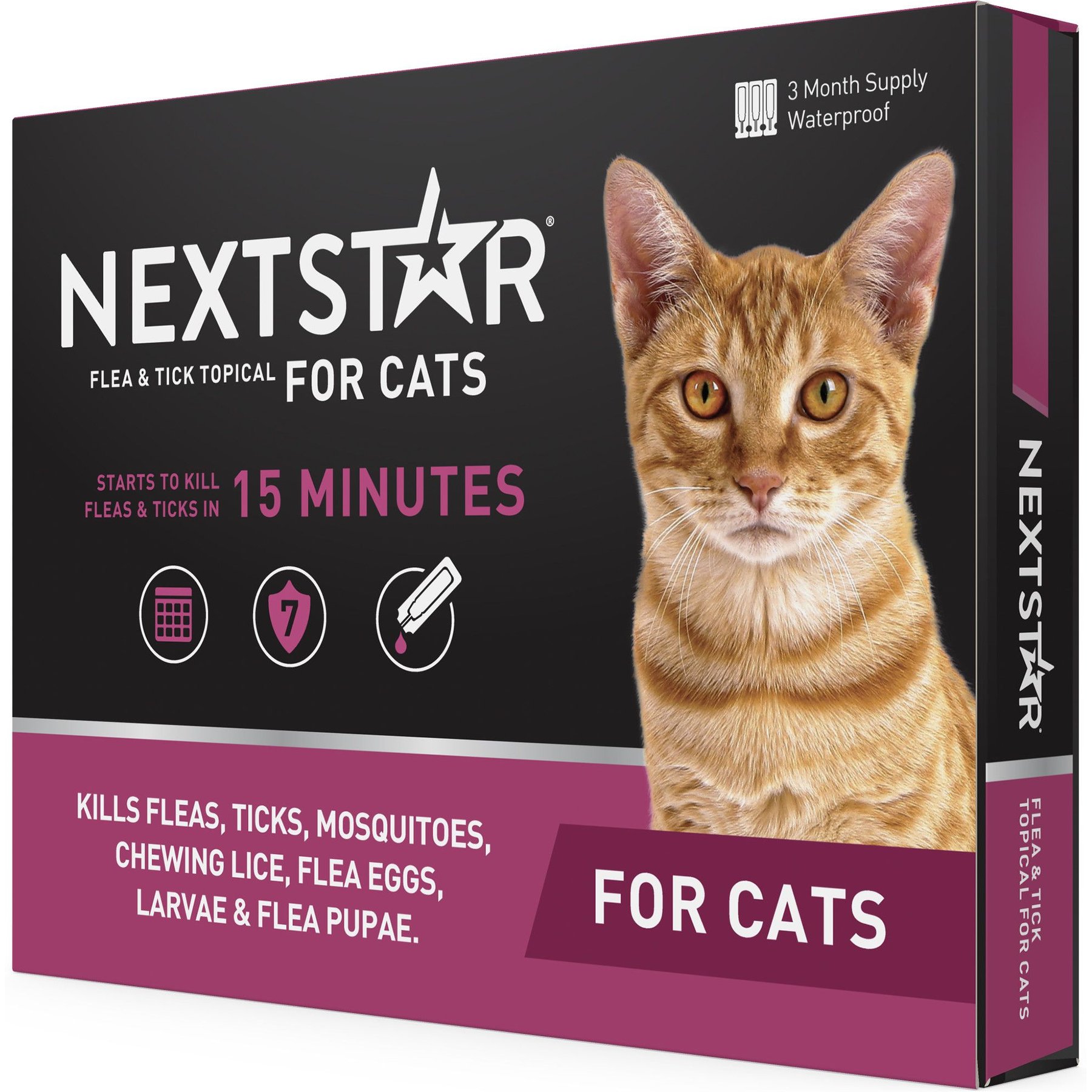 Cat has licked flea treatment best sale