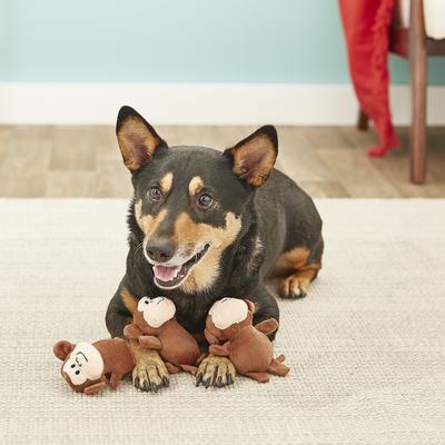 Show full view: ZippyPaws Burrow Squeaky Hide & Seek Plush Dog Toy, Monkey 'n Banana, Refills slide 4 of 7