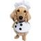 Show in main carousel: Pet Krewe Chef Uniform Dog Costume, Small/Medium slide 1 of 8