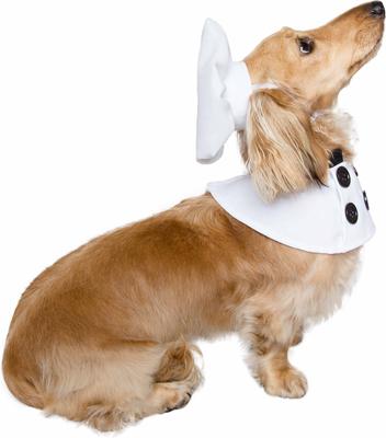 Show full view: Pet Krewe Chef Uniform Dog Costume, Small/Medium slide 3 of 8