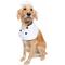 Show in main carousel: Pet Krewe Chef Uniform Dog Costume, Large/X-Large slide 1 of 8