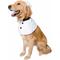Show in main carousel: Pet Krewe Chef Uniform Dog Costume, Large/X-Large slide 2 of 8
