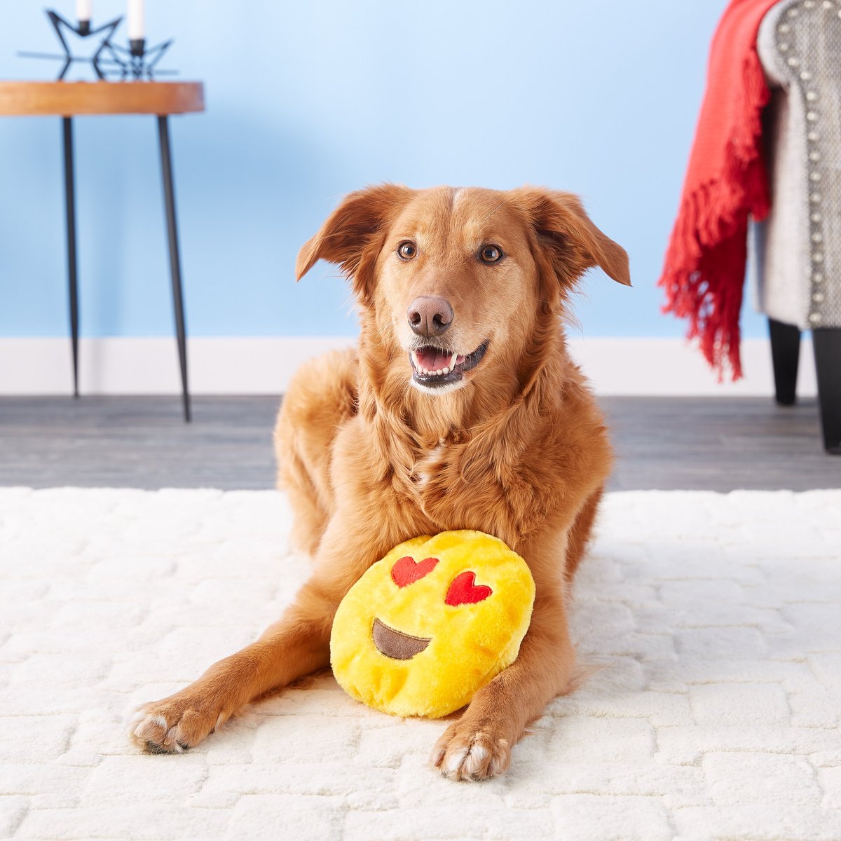 ZippyPaws Emojiz Squeaky Plush Dog Toy