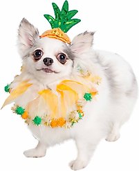 Pet Krewe Pineapple Hat & Collar Set Dog Costume, Small/Medium