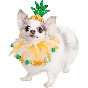 Fetch For Pets WB Horror Halloween Grelins Dog Costume