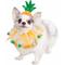 Show in main carousel: Pet Krewe Pineapple Hat & Collar Set Dog Costume, Small/Medium slide 1 of 10