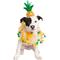 Show in main carousel: Pet Krewe Pineapple Hat & Collar Set Dog Costume, Small/Medium slide 2 of 10