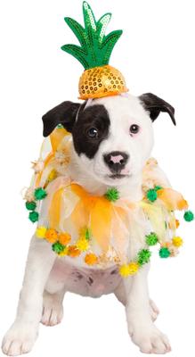 Show full view: Pet Krewe Pineapple Hat & Collar Set Dog Costume, Small/Medium slide 2 of 10