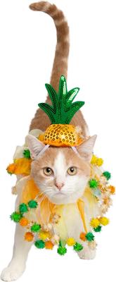 Show full view: Pet Krewe Pineapple Hat & Collar Set Dog Costume, Small/Medium slide 3 of 10