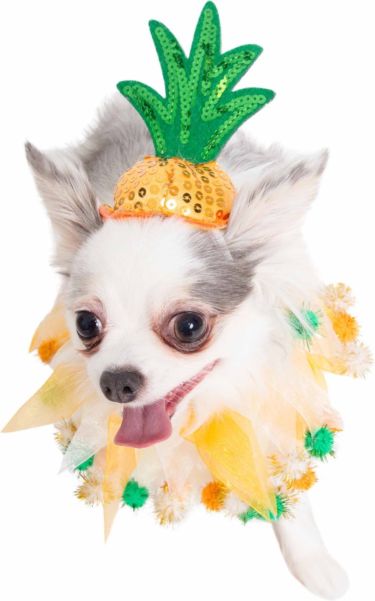 Pet Krewe Pineapple Hat & Collar Set Dog Costume