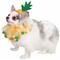 Show in main carousel: Pet Krewe Pineapple Hat & Collar Set Dog Costume, Small/Medium slide 5 of 10