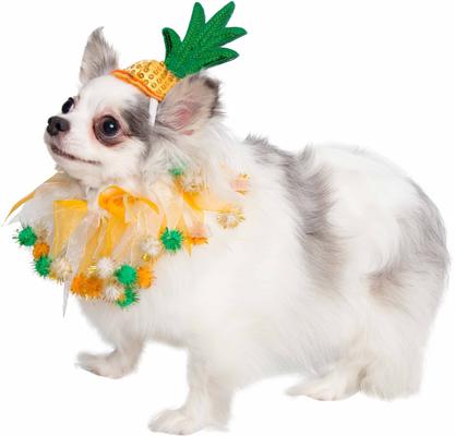 Show full view: Pet Krewe Pineapple Hat & Collar Set Dog Costume, Small/Medium slide 5 of 10