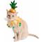 Show in main carousel: Pet Krewe Pineapple Hat & Collar Set Dog Costume, Small/Medium slide 6 of 10