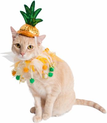Show full view: Pet Krewe Pineapple Hat & Collar Set Dog Costume, Small/Medium slide 6 of 10
