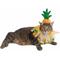 Show in main carousel: Pet Krewe Pineapple Hat & Collar Set Dog Costume, Small/Medium slide 7 of 10