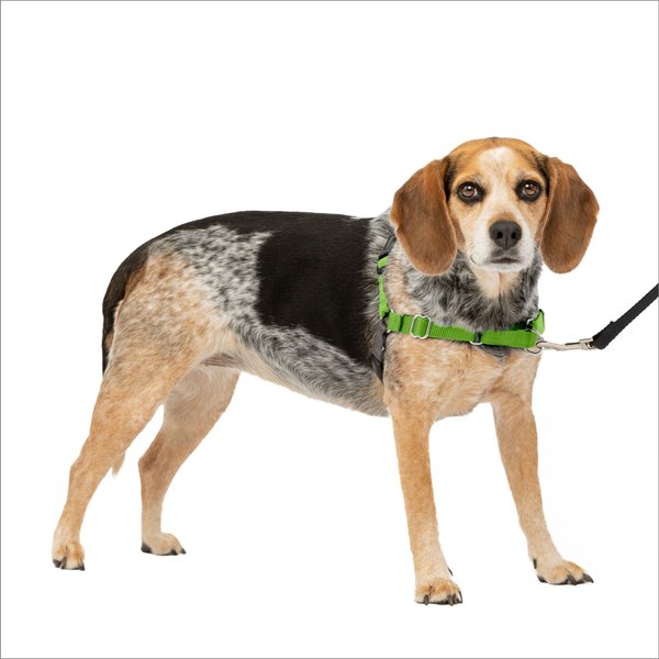 PetSafe Easy Walk Dog Harness, Apple Green, Small/Medium slide 1 of 10