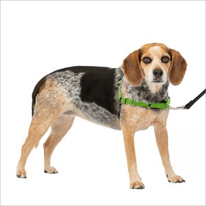 PetSafe Easy Walk Dog Harness, Apple Green, Small/Medium