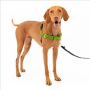 PetSafe Easy Walk Dog Harness, Apple Green, Medium