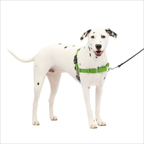 PETSAFE Easy Walk Dog Harness, Apple Green, Medium/Large - Chewy.com