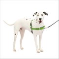 PetSafe Easy Walk Dog Harness, Apple Green, Medium/Large