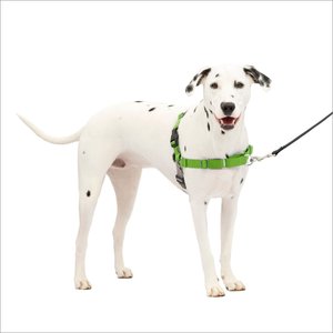 PetSafe Easy Walk Dog Harness, Apple Green, Medium/Large