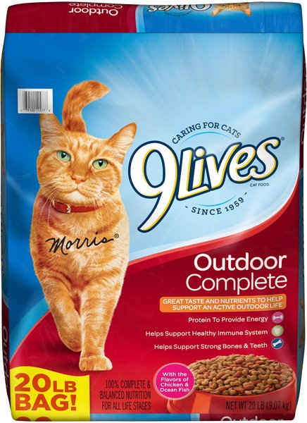 9 LIVES Outdoor Complete Dry Cat Food 20 lb bag Chewy