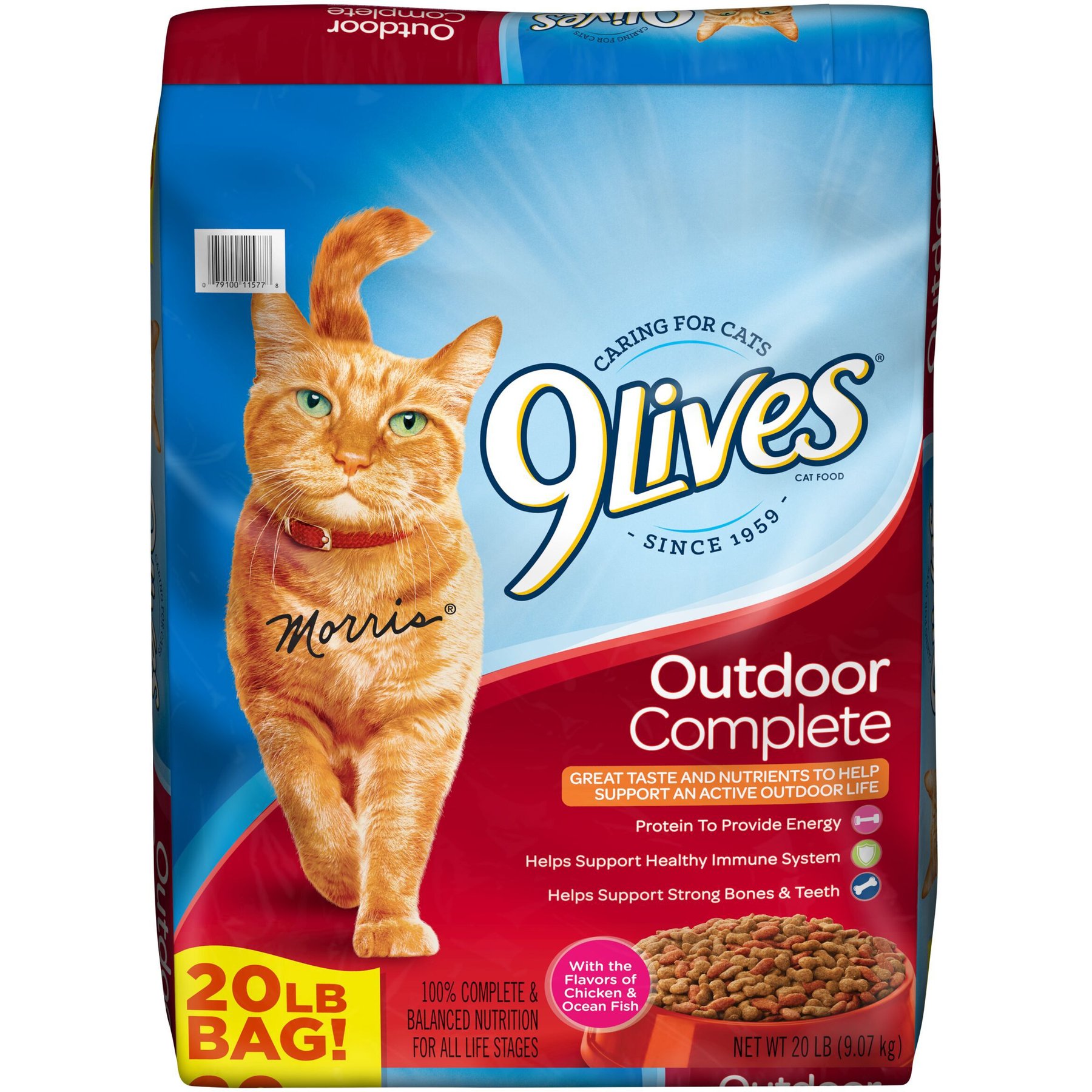 9 Lives Outdoor Complete Dry Cat Food