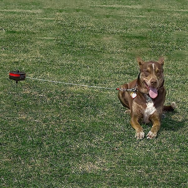 LIXIT Retractable Cable Dog Tie Out, Large