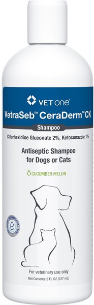 SHAMPOO-CERA AUTOLUCIDANTE 1L