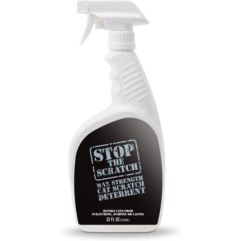 Beautiful view of Cat Cat Scratch Prevention Systems