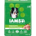 Iams Proactive Health MiniChunks Small Kibble Adult Chicken & Whole Grain Dry Dog Food, 38.5-lb bag