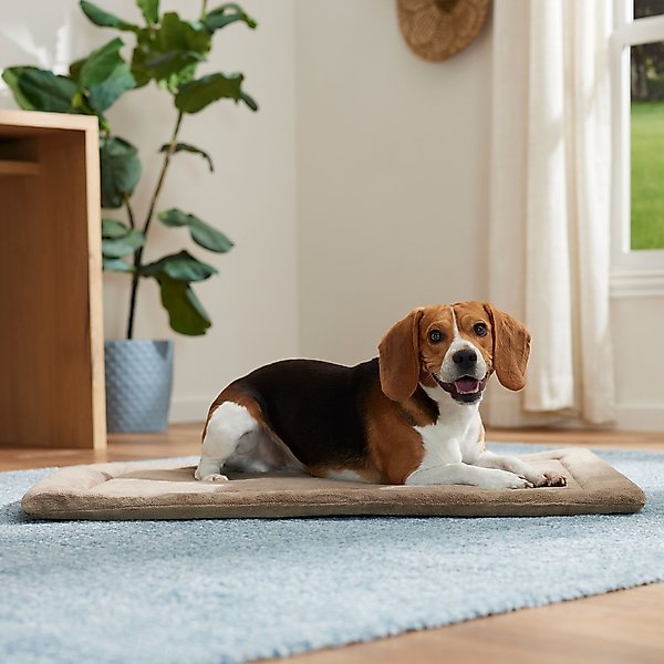 Frisco Micro Terry Dog Crate Mat, Taupe, 36-in slide 1 of 5