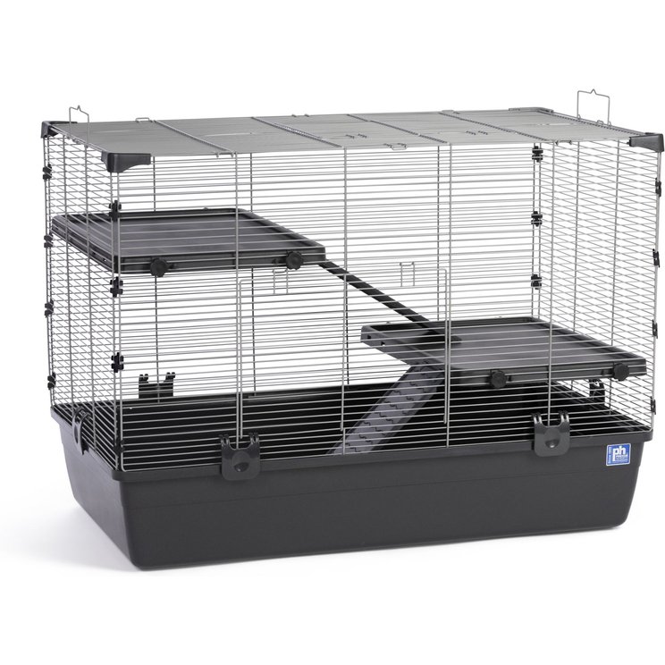 Rat Catalog Rat Cages | Cages & Enclosures Tailored to Pet Rats - Chewy
