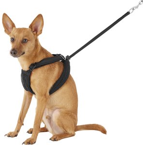 Sporn Mesh No Pull Dog Harness, Black, Medium: 12 to 17-in neck