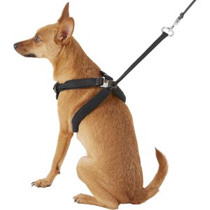 Sporn Mesh No Pull Dog Harness, Black, Medium: 12 to 17-in neck