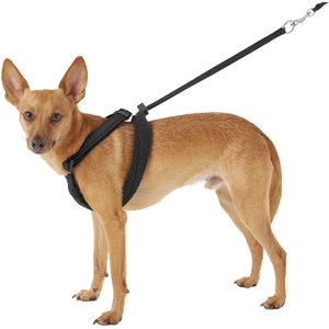 Sporn Mesh No Pull Dog Harness, Black, Medium: 12 to 17-in neck