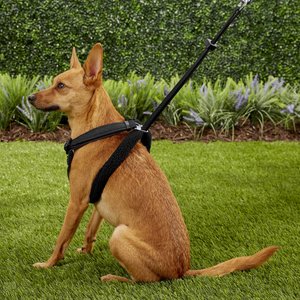 Sporn Mesh No Pull Dog Harness, Black, Medium: 12 to 17-in neck